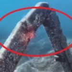 Alarmantno upozorenje za sve koji letuju u Crnoj Gori! Smrtonosna riba lav stigla do popularne plaže
