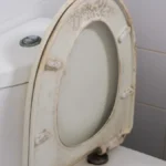 Čisti dasku od WC šolje bolje od varikine? Evo kako da od požutele dođete do sneg bele, bolje i od najjače hemikalije
