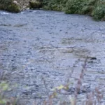 Devojčica (13) se utopila u Velikoj Moravi: Tragedija kod Velike Plane
