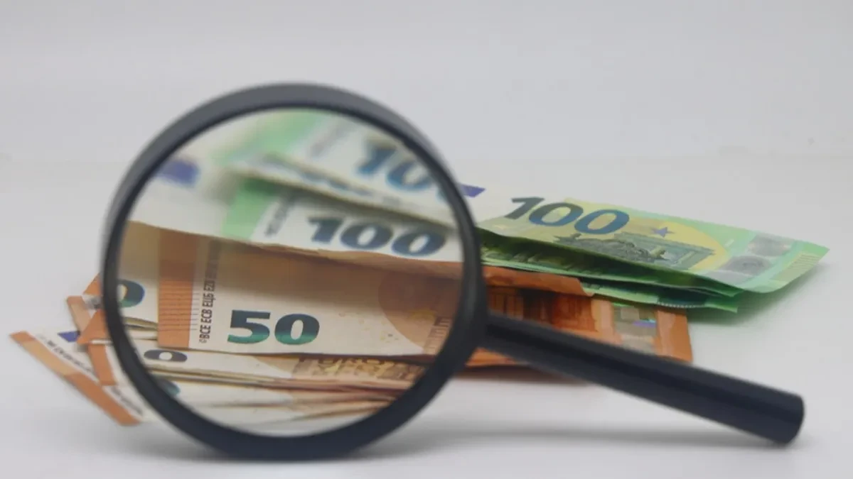 Evro izgubio poverenje - Švedska daje prednost svojoj valuti 