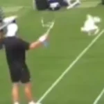 Galeb opljačkao tenisera, pa se posvađao sa drugim galebeom! Potpuni haos na terenu, ovako nešto se ne pamti (VIDEO)