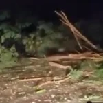 Grom napravio haos u Čačku! Ljudima pregoreli kućni aparati, eksplodirali ruteri! Nevreme divljalo bez milosti