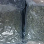 Hapšenje kod Leskovca! Pa sa 10 kilograma narkotika