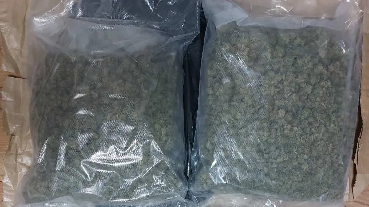 Hapšenje kod Leskovca! Pa sa 10 kilograma narkotika