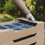 Hitno traže radnike - za nekoliko nedelja može lepo da se zaradi