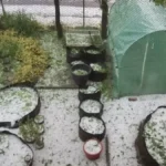 I danas moguće nepogode! RHMZ popalio alarme, nižu se i upozorenja za pljuskove
