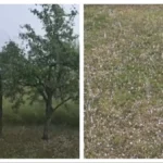 Krenulo nevreme u Srbiji! Ovde padaju ledene kuglice, sve se zabelelo