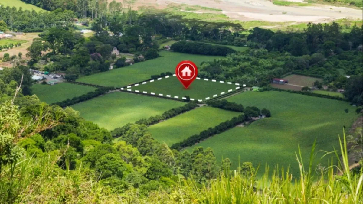 Nema novca kuću, ali ima za parče zemlje - da li je sada pravi trenutak za kupovinu placa