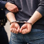 Nesvakidašnji slučaj na jugu Srbije: Policija uhapsila lopova, sve šokirao time šta je ukrao