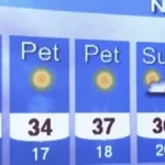 Neviđeni peh u emisiji uživo! Grešku na ekranu su svi uočili, voditeljka pokušala da se izvuče situaciju