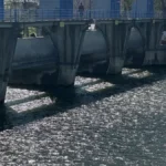 "Ovo je rana koja nikada neće zarasti" Stalać se oprašta od tragično nastradalih mališana