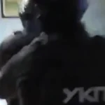 Pali sa pola kile kokaina! Uhapšena crna trojka u Nišu, držali arsenal oružja