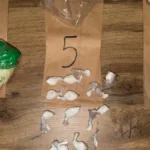 Pao diler u Novom Sadu! Policija pronašla kilogram amfetamina, kokain i marihuanu