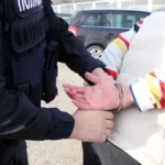Pretukao galeba jer mu je ukrao pitu iz ruku: Zastrašujuće scene na šetalištu kraj reke