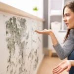 Rešite buđ za 50 dinara bez molera: Evo kako vlaga nestaje i bez skupog krečenja