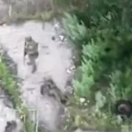 Rusi tvrde da su masakrirali strane plaćenike na frontu: Objavili su zastrašujuć snimak!
