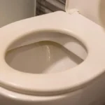 Skida kamenac momentalno, a kada je jednom ovako sredite posle je samo održavate: Kako očistiti WC šolju, nemojte zaboraviti i vodokotlić