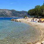 Snimak iz Hrvatske zapalio mreže: Delfin se igrao sa kupačima, ali iza dirljivog prizora krije se ozbiljna opasnost