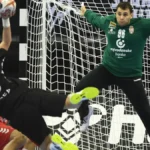 Srbi će igrati finale Lige šampiona!