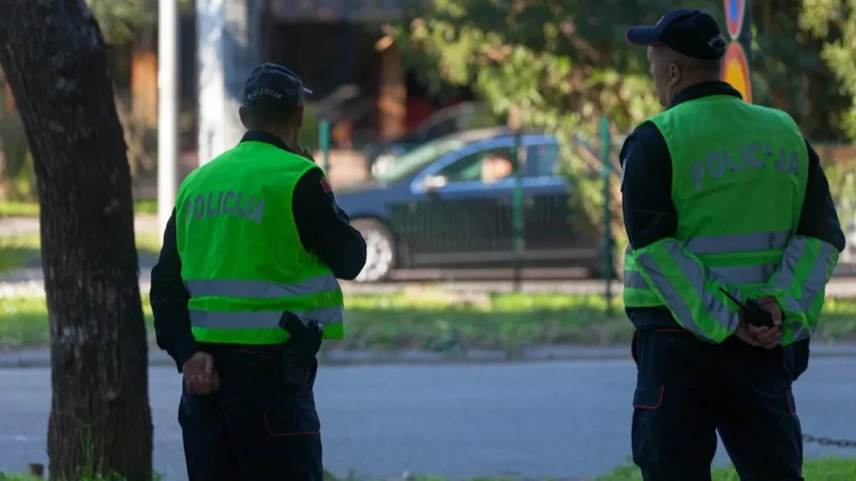 Srbin i trojica Nemaca napravili haos u Ulcinju: Policija odmah reagovala, evo zbog čega su momentalno sankcionisani (FOTO)