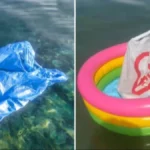 Svi pričaju o kesi koja pluta pored kupača: Trik sa plaže postao viralan, a mnogi se kunu u