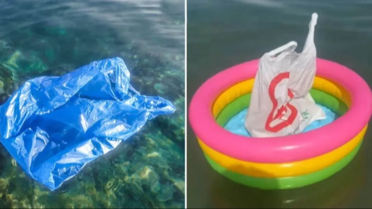 Svi pričaju o kesi koja pluta pored kupača: Trik sa plaže postao viralan, a mnogi se kunu u