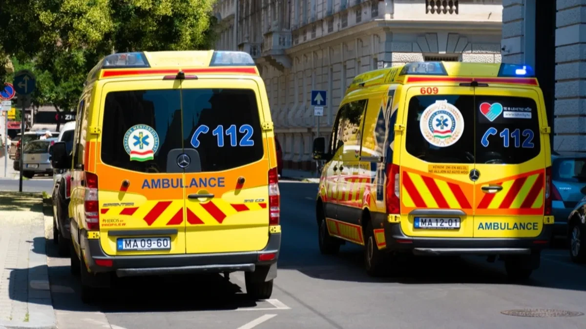 Teška tragedija u Mađarskoj: Troje dece poginulo u sudaru!