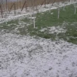 U narednih sat vremena ovde će da tutnji grad! RHMZ izdao hitno upozorenje