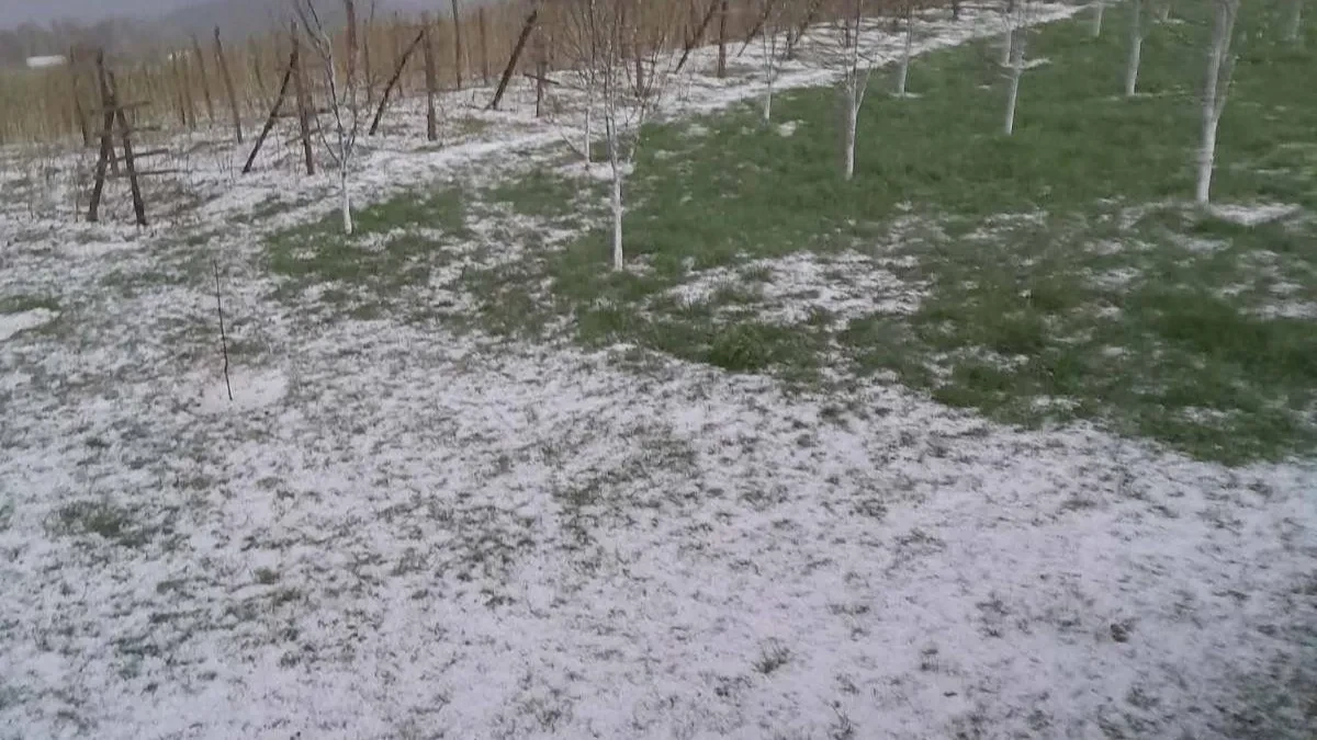 U narednih sat vremena ovde će da tutnji grad! RHMZ izdao hitno upozorenje