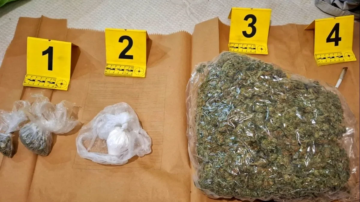 Uhapšen diler u Bečeju: Policija mu našla drogu i vagicu