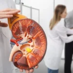 Upozorenje nefrologa: Piće koje pijete bez razmišljanja razara bubrege - a nije rakija!