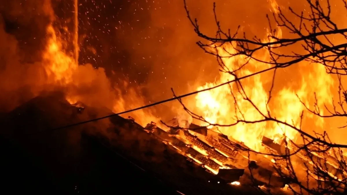 Veliki požar kod Vranja pretio da proguta sve pred sobom! Vatrogasci sprečili katastrofu!