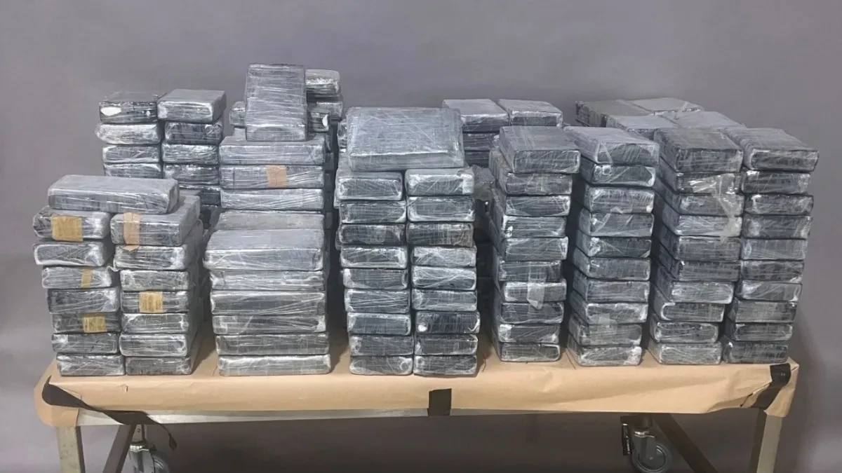 Zadat još jedan udarac narkomafiji! Policija u Novom Sadu zaplenila više od 107 kilograma droge, uhapšene dve osobe