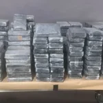 Zaplenjeno skoro 700 kilograma narkotika: Detalji saradnje srpske i nemačke policije (FOTO)