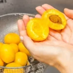 Bacate koštice od kajsija? Posle ovoga vam više neće pasti na pamet da to radite!