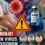 Batut izdao hitno upozorenje! Smrtonosni virus se širi regionom, Srbija na oprezu