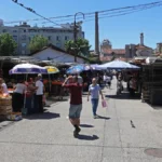 Cene voća i povrća ponovo se menjaju - šta je poskupelo, a šta pojeftinilo na pijacama širom Srbije