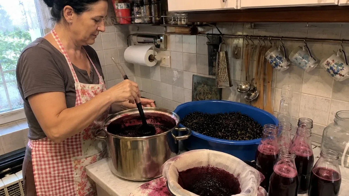 Domaći sok od aronije: Kako se pravi, čuva od kvarenja i pravilno pije, jer tu svi greše!