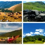 Gosti na KROVU SRBIJE - Staroj planini