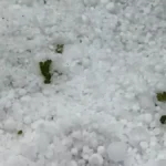Grom usmrtio više od 30 ovaca: Kiša pljušti kao iz kabla, tuče i krupan grad