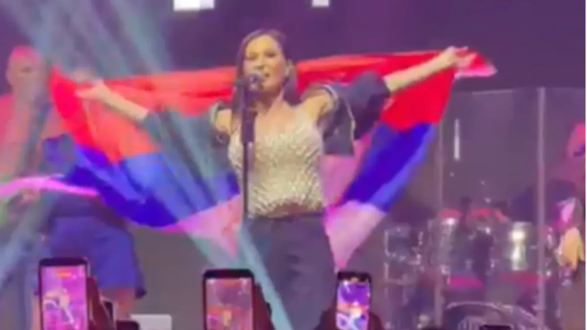 Hitno prekinula koncert! Ceca Ražnatović burno odreagovala: