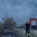 Izgorelo 20 hektara zemlje: Požar u Nišu progutao barake i plastenike (VIDEO)
