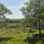 Na prodaju plac na Fruškoj gori za 21.000 evra! Ovde može da se digne sjajna vikendica