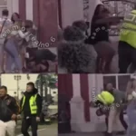 Nikad veća tuča u Eliti: Masovno se pobili, ne zna se ko koga udara, stradalo i obezbeđenje!