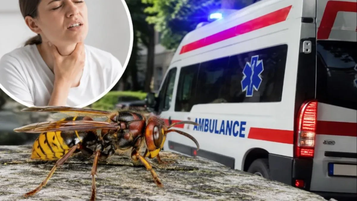 "Nisam verovala da ću preživeti": Žena opisala jezive trenutke posle uboda stršljena: Za nekoliko sekundi ostala sam bez vazduha