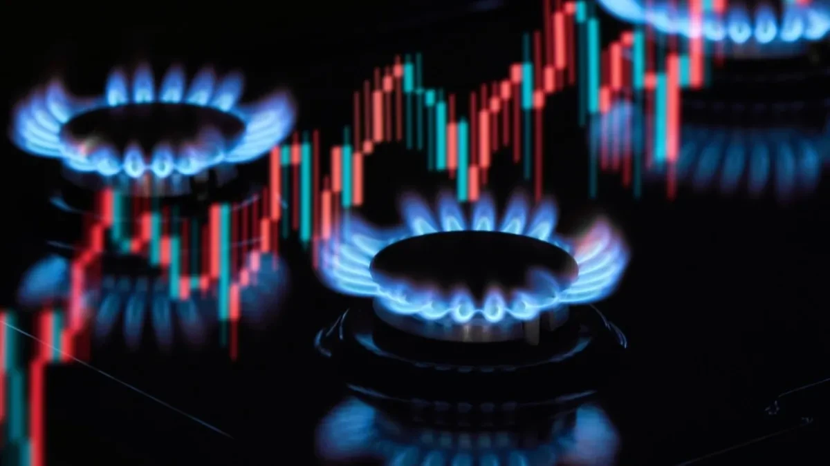 Novi trošak za domaćinstva i firme - gas u BiH od jula skuplji