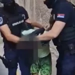 Otkrivamo ko je mladić koji je izbo devojku (20) kod Vukovog spomenika: Nije hteo da sarađuje s policijom