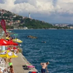 Otrovna riba-zec stigla i do Jadrana: Objavljena mapa koja pokazuje tačne lokacije gde je primećena u Grčkoj (foto)
