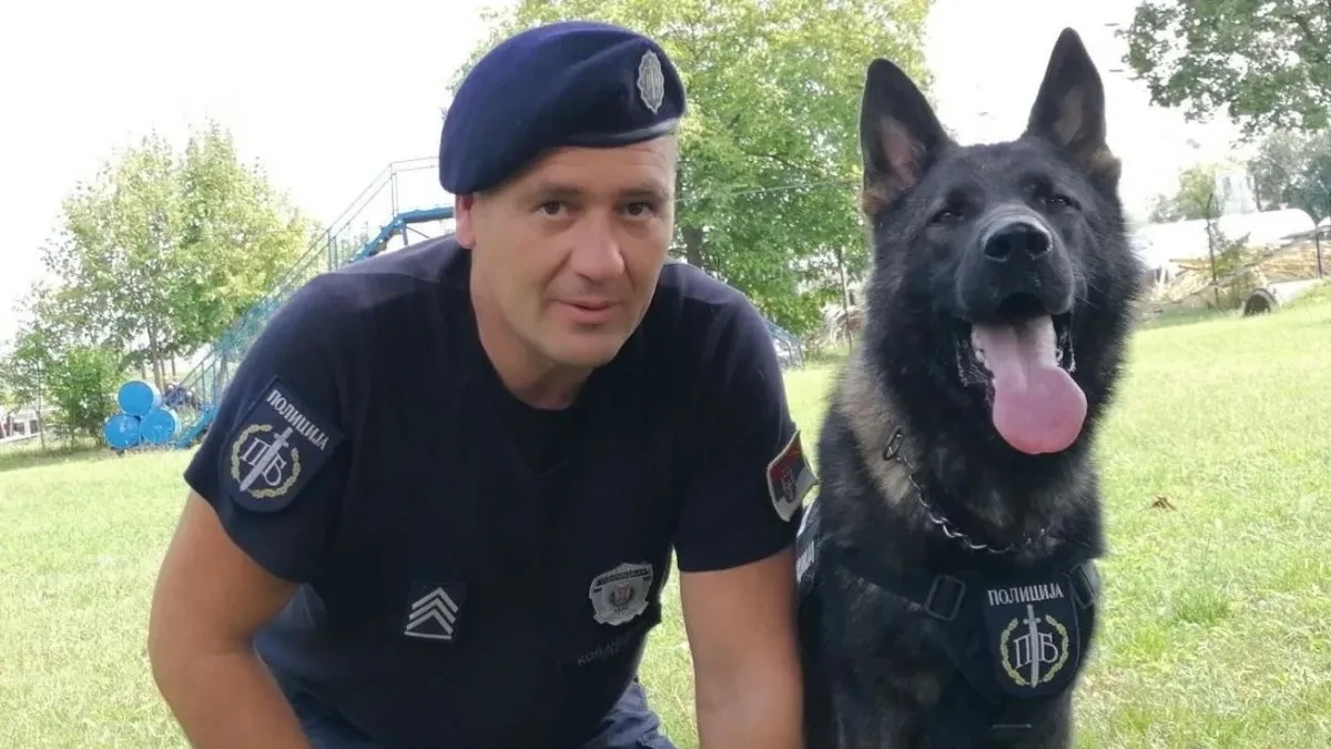 Ovo je službeni pas MUP-a koji je otkrio telo Ruskinje! Monstruozni zločin rešen u rekordnom roku! (FOTO)