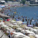 Panika na crnogorskoj plaži! Neobično morsko stvorenje prestravilo kupače: